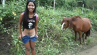 Gros Seins Et Éjaculation Féminine Avec Une Bite De Cheval