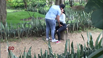 Catching A Couple In A Public Park: Amateur Voyeur'S Encounter