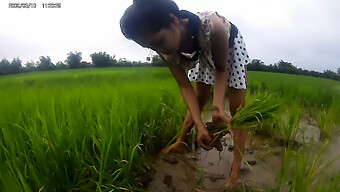 Fille Asiatique Dans Le Champ De Riz: Une Rencontre Coquine