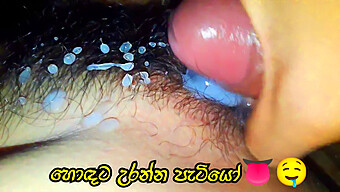 Close Up Of Wife'S Pussy In Sinhala Porn Video