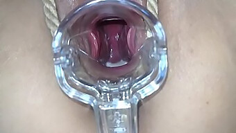 Video Pov De Una Zorrita Usando Un Juguete Sexual