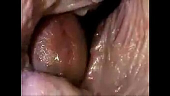 Kamera Dalam Tertangkap: Close-Up Vagina Dan Sperma