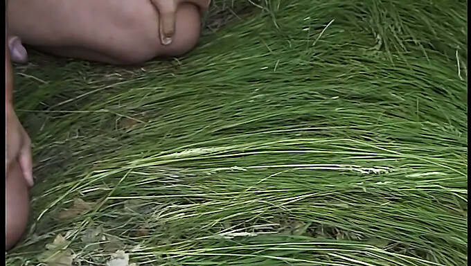 Une Allemande Se Fait Baiser Son Gros Cul En Plein Air