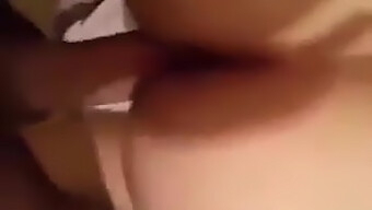 El Sexy Video De La Escort Argelina De Tetas Grandes Te Lleva Al Borde Del Placer