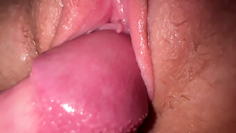 Close-Up Cumshot On Tight Pussy